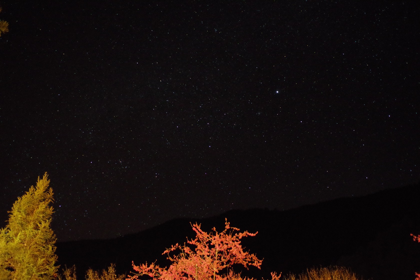 武陵農場的星空