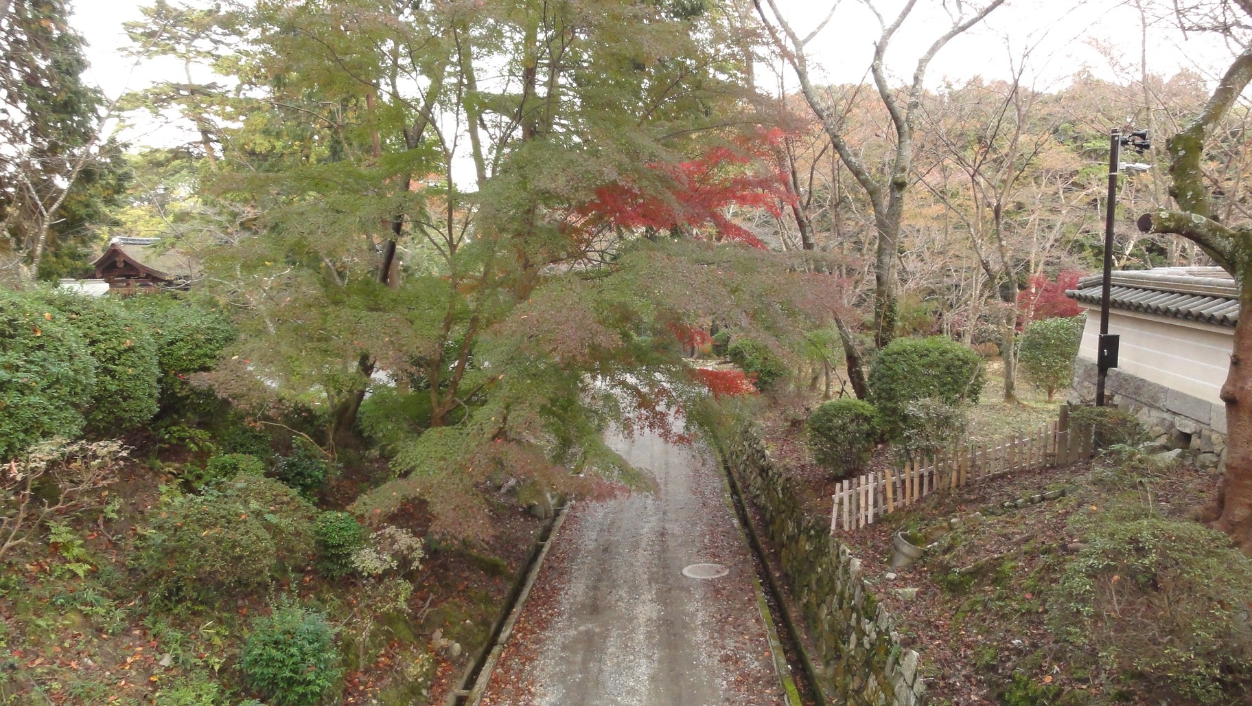 石橋與橋下步道