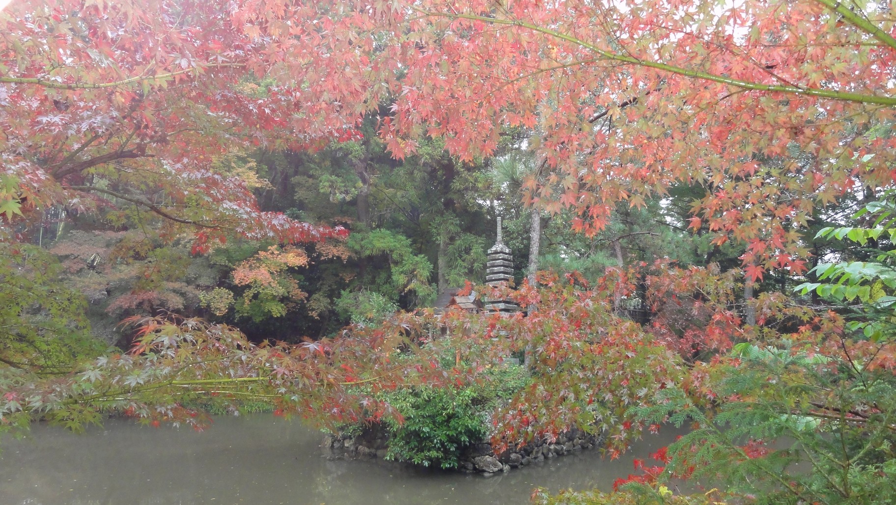 池塘中的小嚴島神社