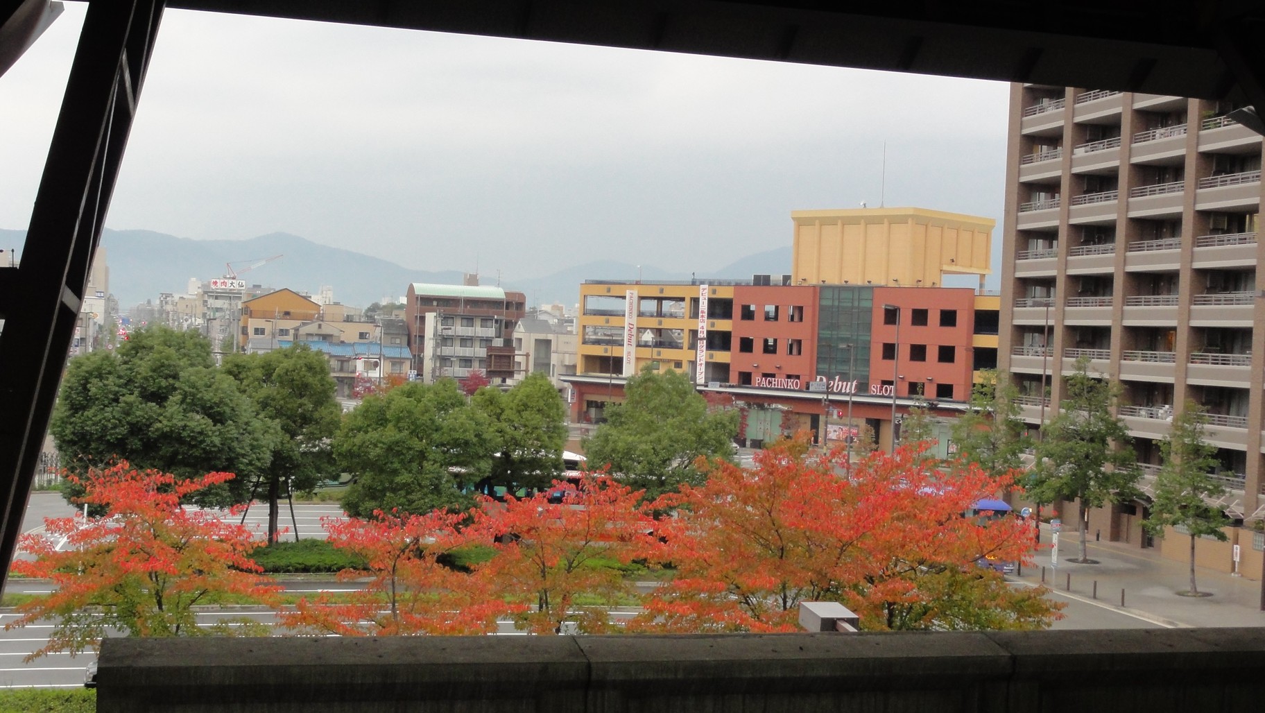亀岡駅前的紅葉