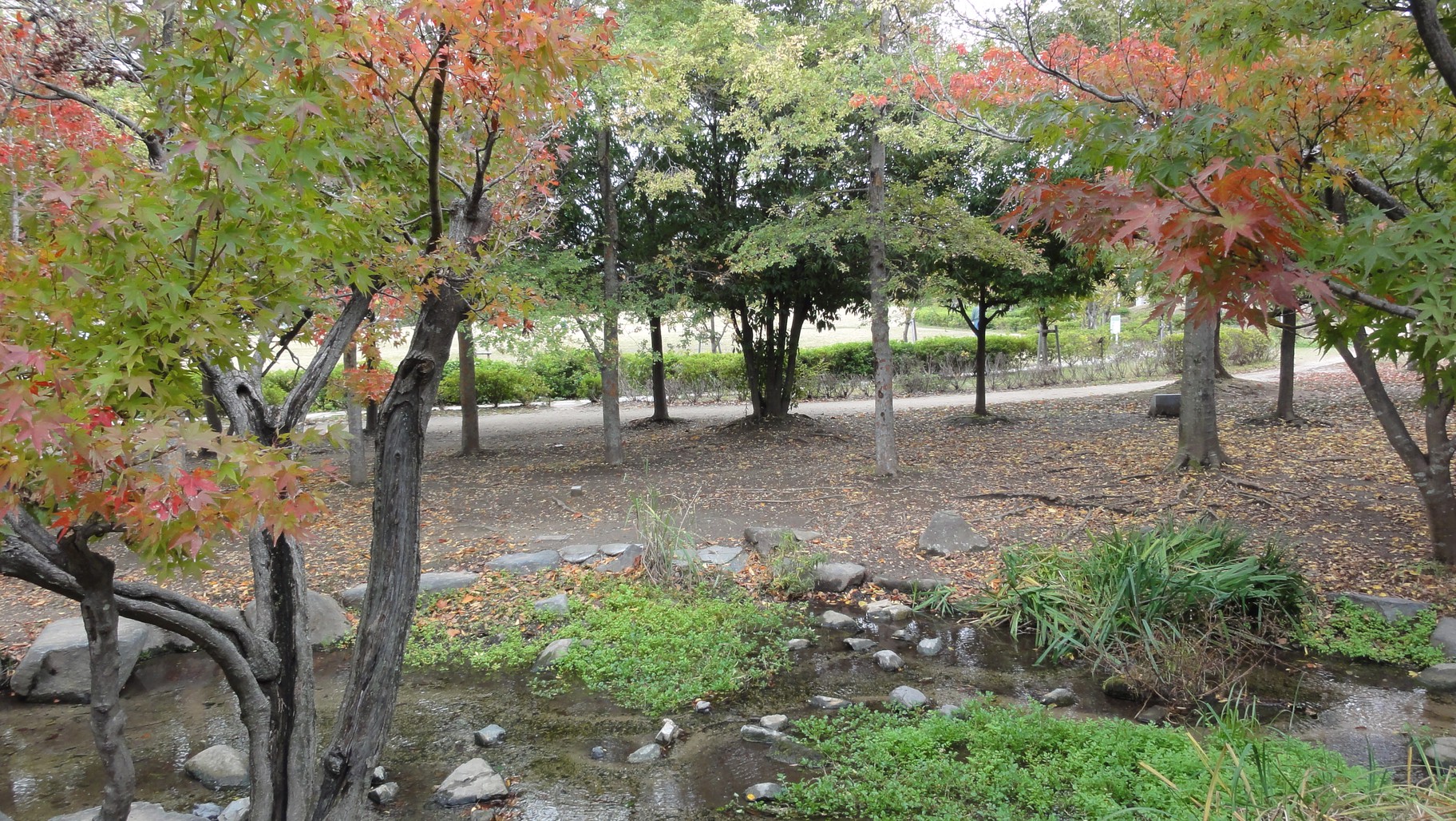 梅小路公園景色