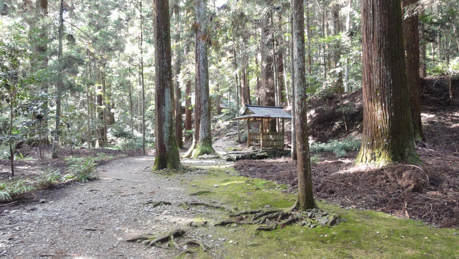 高山寺境內步道