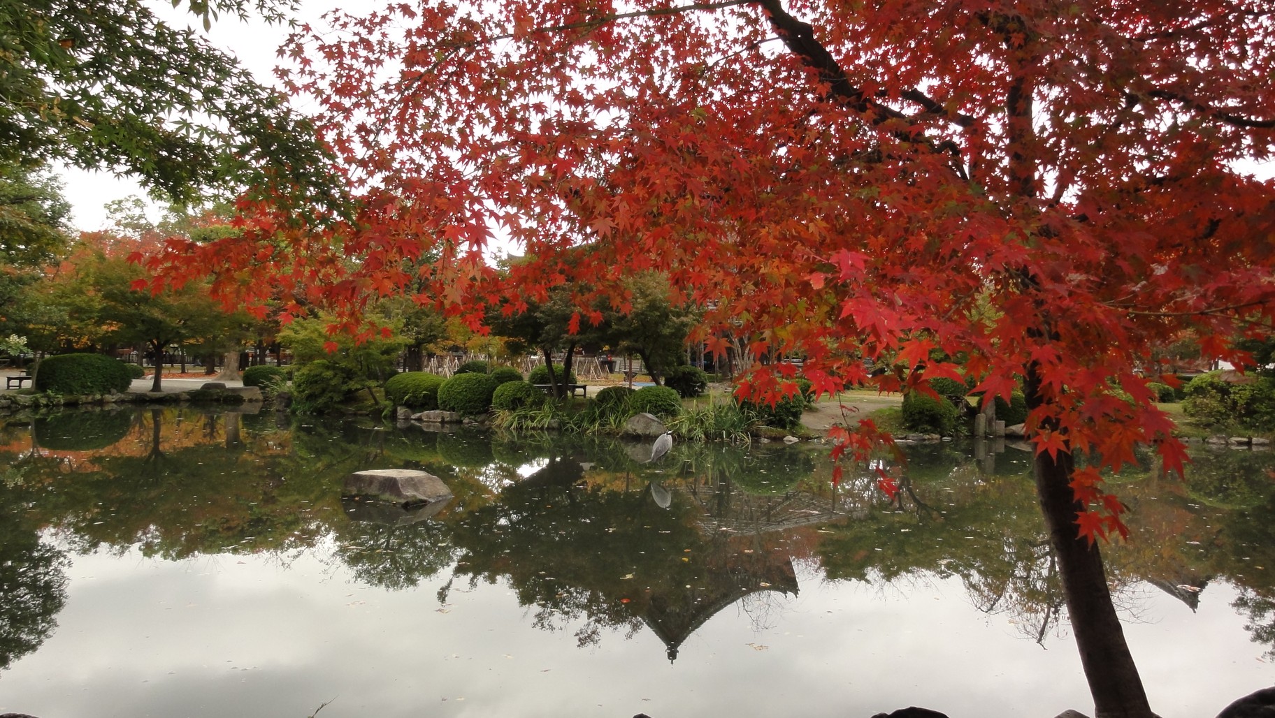 東寺 水池