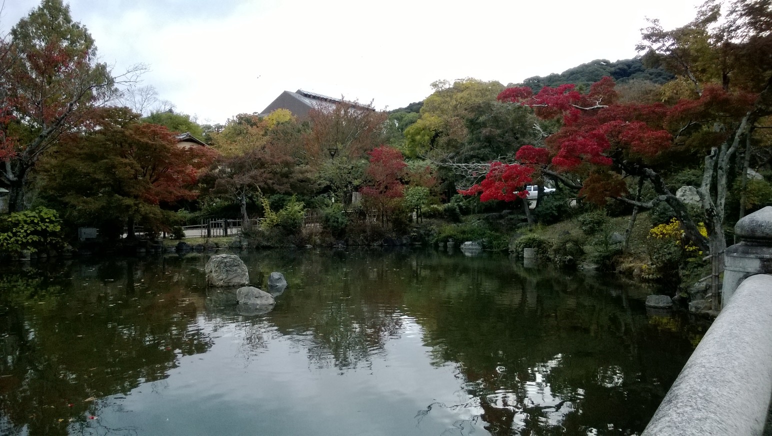 円山公園景色